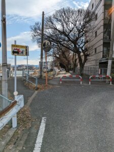 那珂川沿いの木