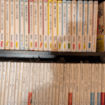 【国語を勉強する意味はある？】思考の道具を手に入れ自分の世界を広げる